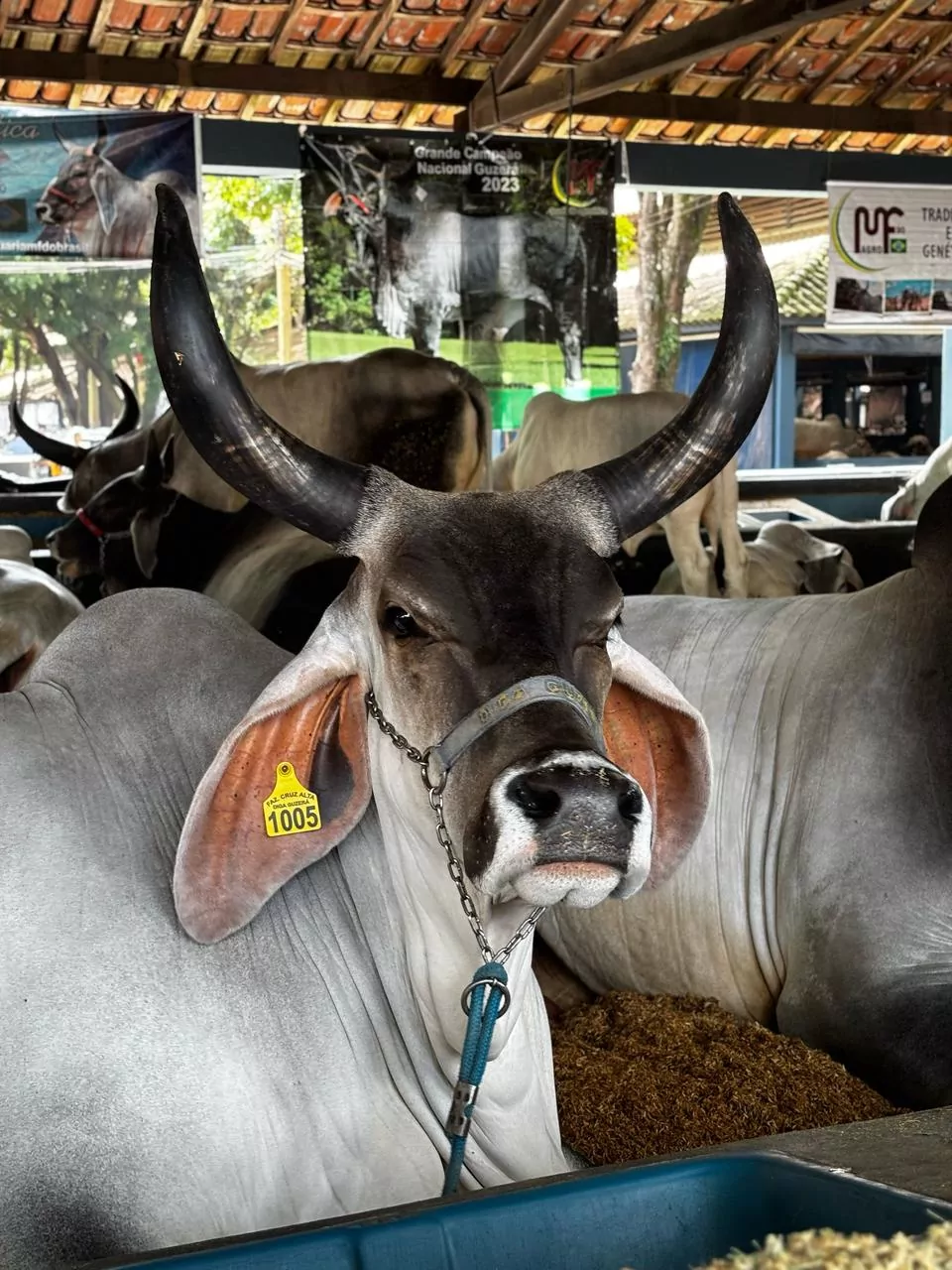 90 expozebu 2025 1