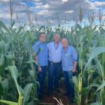 agronomia milho acao solidaria 2025 1