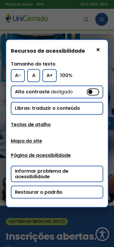 Painel de acessibilidade aberto no celular
