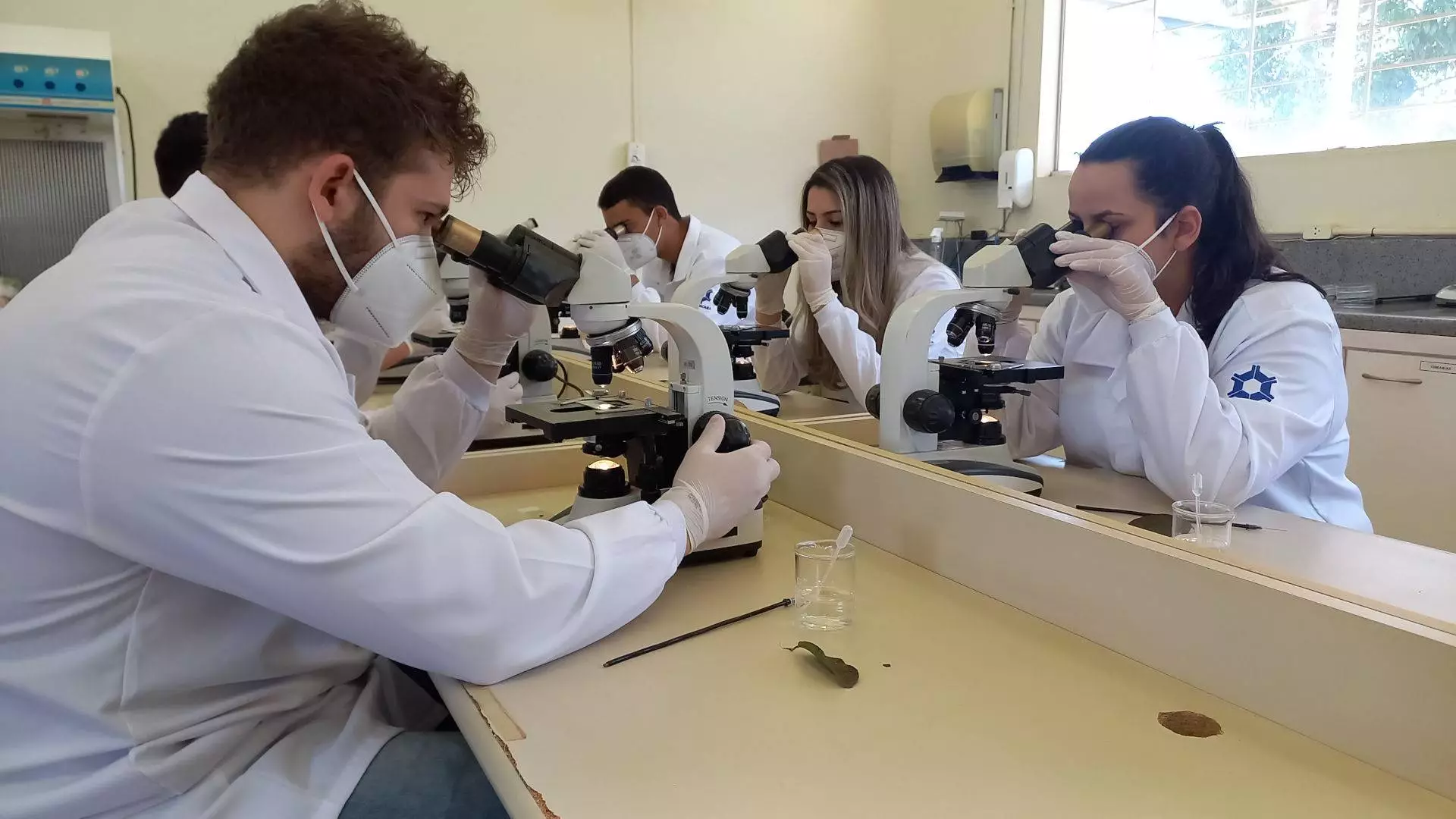 labitec-anatomia-animal-agronomia-veterinaria-2