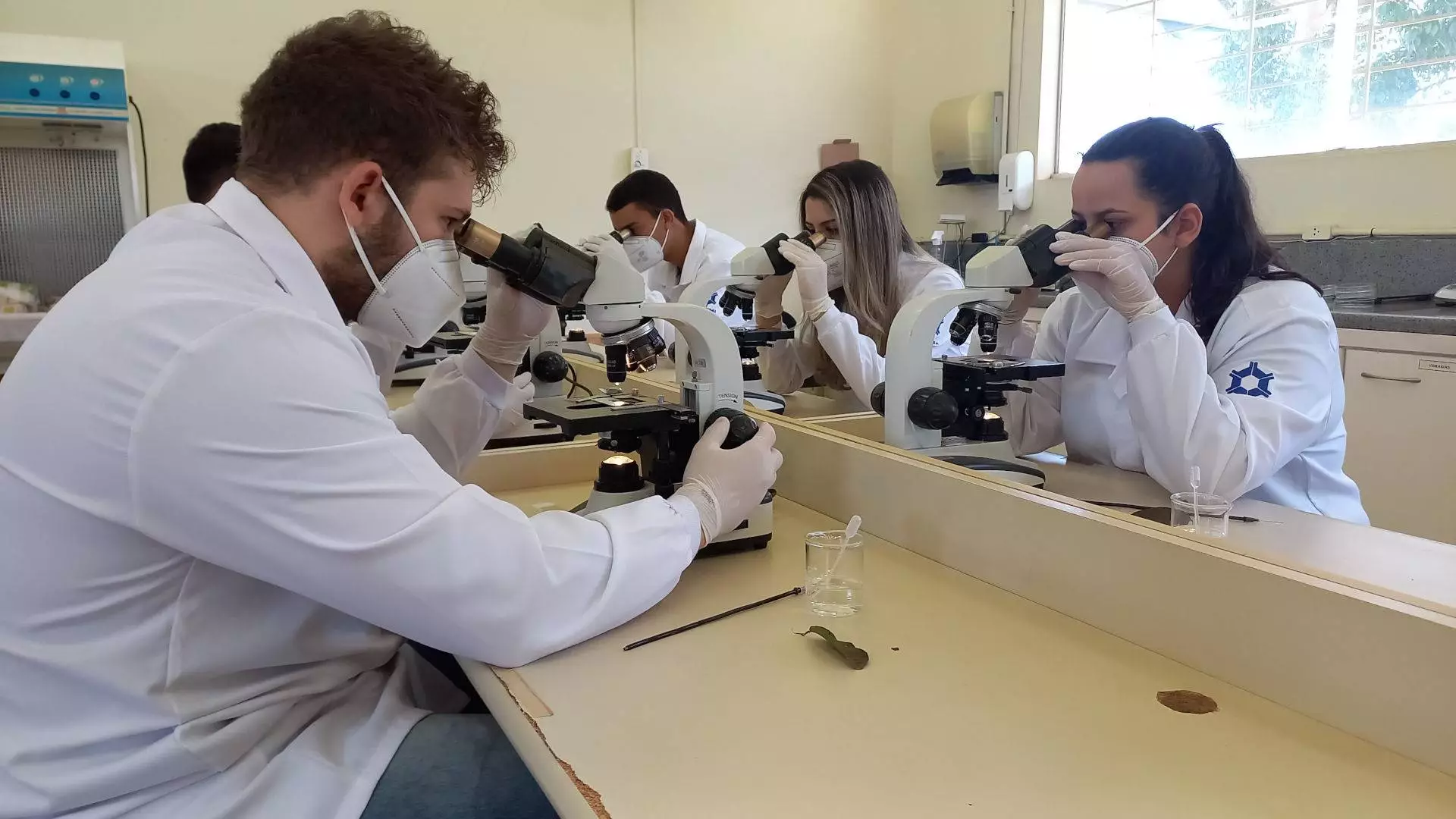 labitec-anatomia-animal-agronomia-veterinaria-3