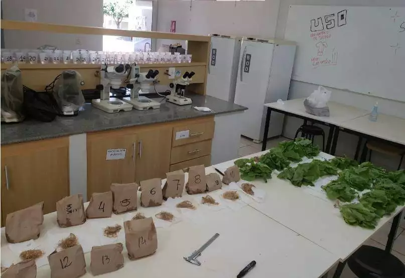 laboratorio-agronomia-1